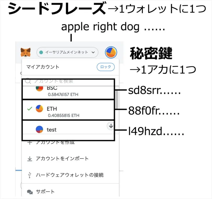 MetaMaskのシードフレーズと秘密鍵の違い
